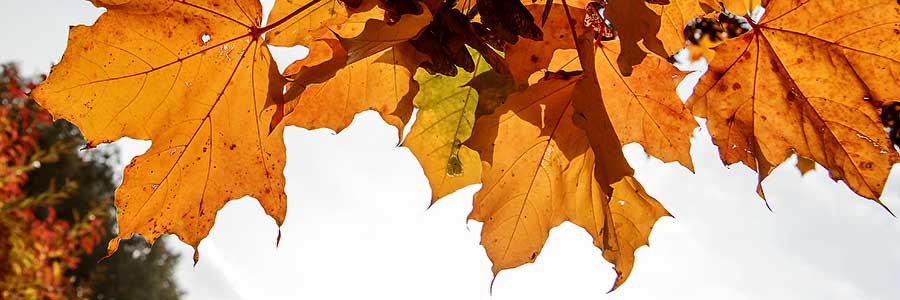 Markkleeberger See Markkleeberger See